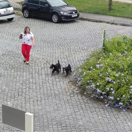 Garden House Oporto Luxusní stan *