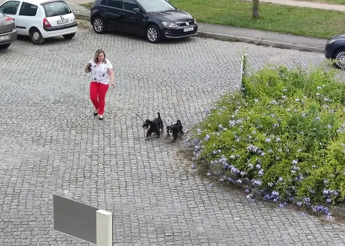 Garden House Oporto Luxusní stan *